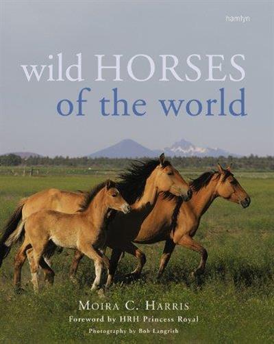 Wild Horses of the World by Moira C Harris