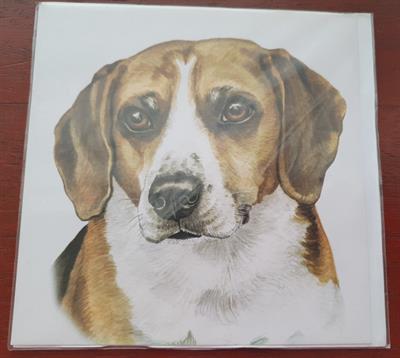 Beagle Greetings Card by WaggyDogz