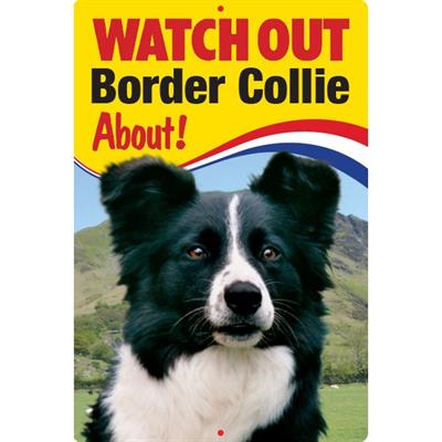 Watch Out Border Collie About! Sign