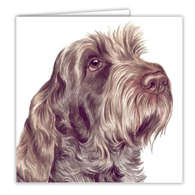 Italian Spinone Greetings Card by WaggyDogz