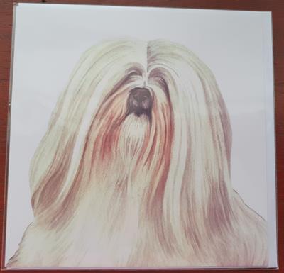 Lhasa Apso Greetings Card by WaggyDogz