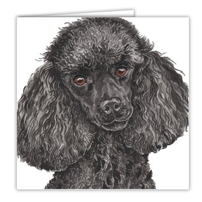 Black Miniature Poodle Greetings Card by WaggyDogz