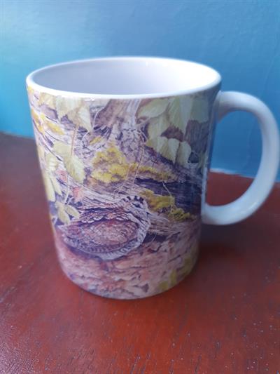 Woodcock Snipe Mug