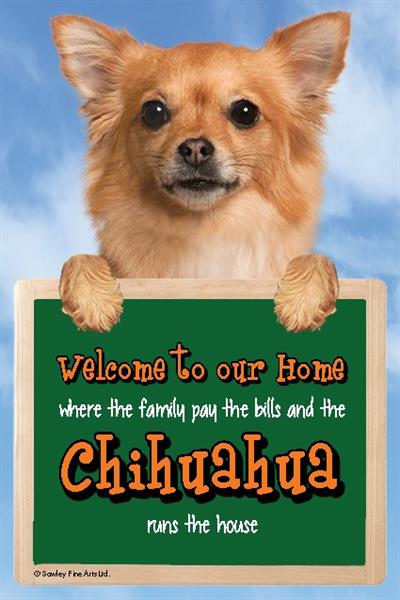 Long Haired Chihuahua 'Runs the House' Dog Sign